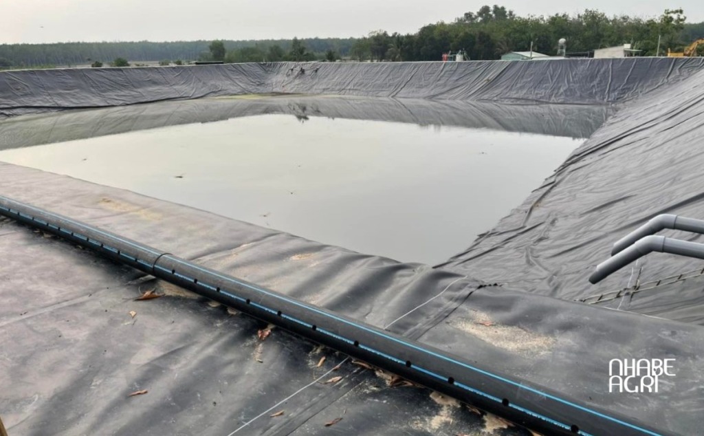 Thi công bạt lót hồ tại Hà Nội 13 Bạt lót hồ tại Hà Nội