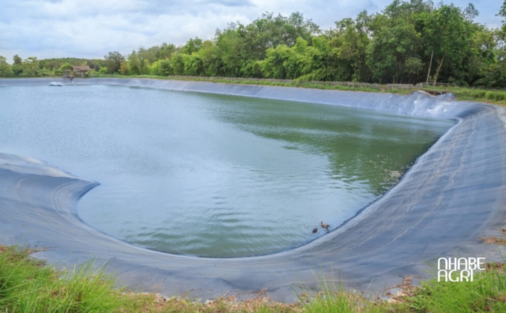 Thi công Bạt lót hồ tỉnh Gia Lai 14 Bạt lót hồ tỉnh Gia Lai