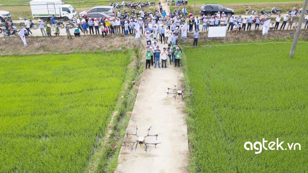 Dịch vụ máy bay nông nghiệp phun thuốc trừ sâu cho cây lúa tại An Giang Dịch vụ máy bay nông nghiệp phun thuốc trừ sâu cho cây lúa tại An Giang