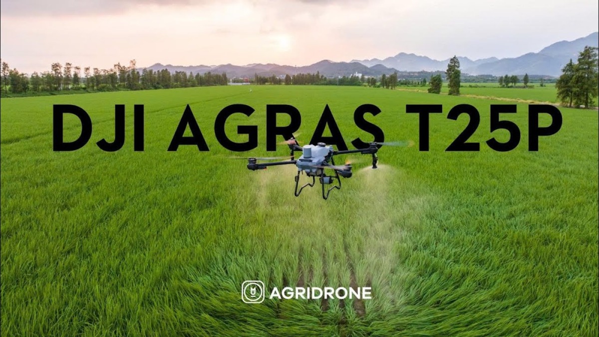 T25P và lợi ích trong nông nghiệp T25P và lợi ích trong nông nghiệp