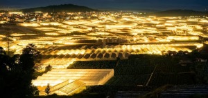 Điện mặt trời thắp sáng đèn LED nông nghiệp