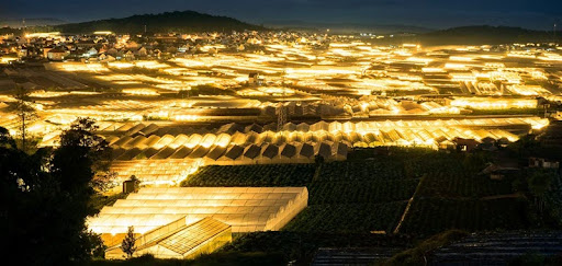 Điện mặt trời thắp sáng đèn LED nông nghiệp 10 Điện mặt trời thắp sáng đèn LED nông nghiệp