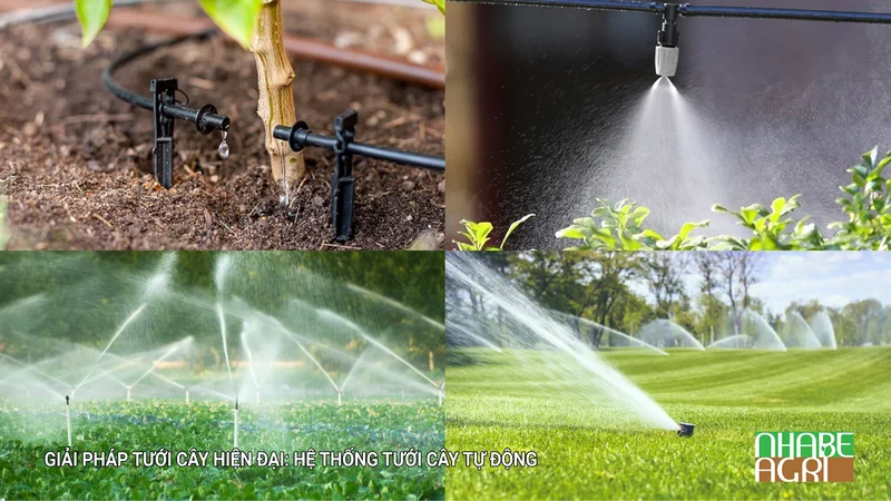 Hướng Dẫn Tưới Cây Đúng Cách Toàn Tập: 9 Nguyên Tắc Vàng Giúp Vườn Luôn Xanh Tốt 5 Giải pháp tưới cây hiện đại Hệ thống tưới cây tự động