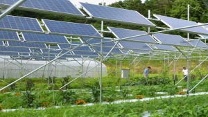 Nhà Bè Agri cung cấp đa dạng các giải pháp hệ thống điện năng lượng mặt trời