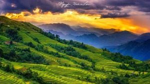 Tại Lai Châu phong trào sử dụng điện mặt trời luôn mạnh mẽ