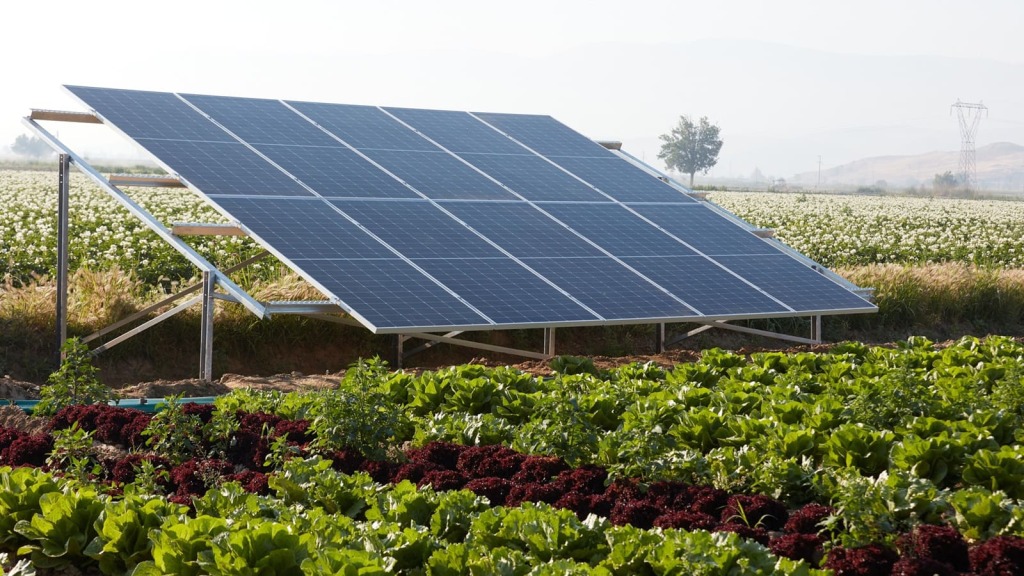 Dịch vụ lắp đặt hệ thống điện năng lượng mặt trời tại TPHCM 6 Dịch vụ lắp đặt hệ thống điện năng lượng mặt trời tại TPHCM