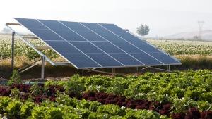 Dịch vụ lắp đặt hệ thống điện năng lượng mặt trời tại TPHCM