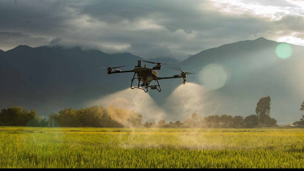 DJI Agras T70P chính là trợ thủ đắc lực giúp người nông dân