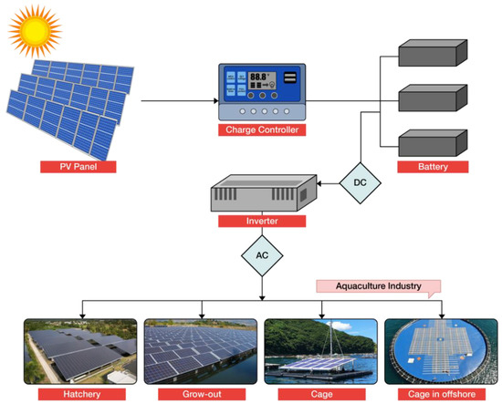 Tương lai điện mặt trời trong nuôi trồng thủy sản 11 Tương lai điện mặt trời trong nuôi trồng thủy sản