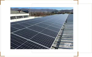 tổng quan về điện năng lượng mặt trời nông nghiệp