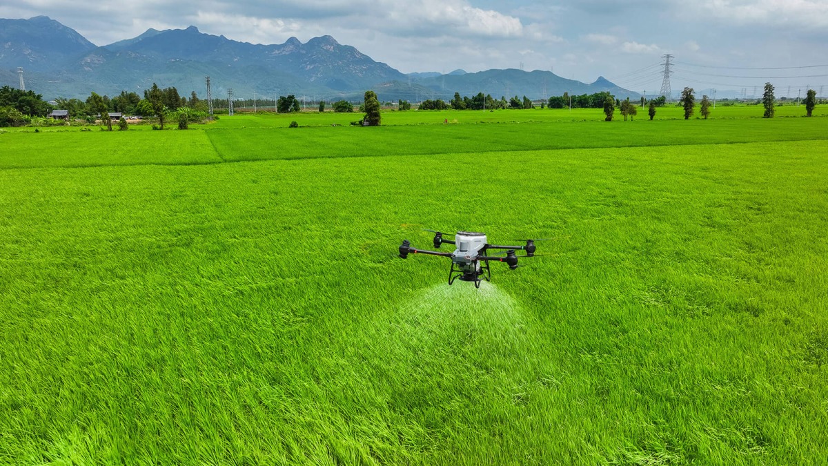 Hạ cánh kết thúc quy trình vận hành máy bay T25P