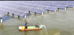 Tiên phong trong lĩnh vực năng lượng mặt trời trang trại nuôi cá sẽ mang lại năng lượng cho người dân venergy