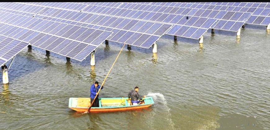 Tiên phong trong lĩnh vực năng lượng mặt trời trang trại nuôi cá sẽ mang lại năng lượng cho người dân 15 Tiên phong trong lĩnh vực năng lượng mặt trời trang trại nuôi cá sẽ mang lại năng lượng cho người dân venergy