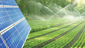 các chính sách hỗ trợ của Nhà nước cho mô hình điện mặt trời trong nông – ngư nghiệp