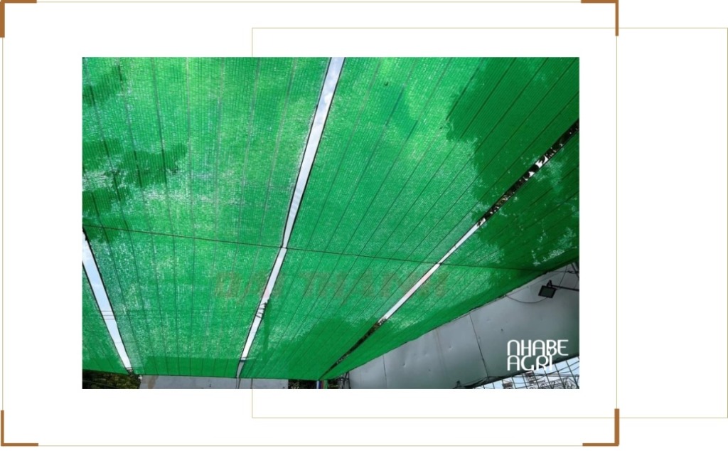 Các loại lưới che nắng, lưới chống nắng phổ biến hiện nay