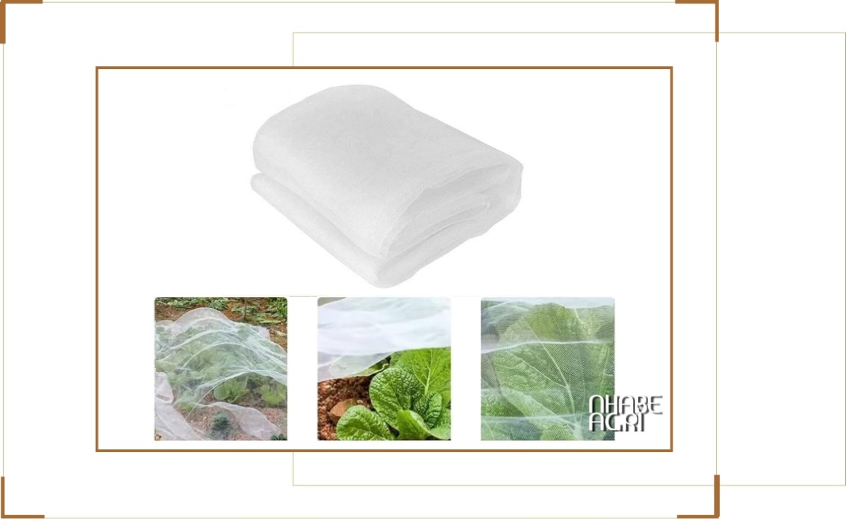 Chính sách giao hàng tại Nhabeagri Chính sách giao hàng tại Nhabeagri