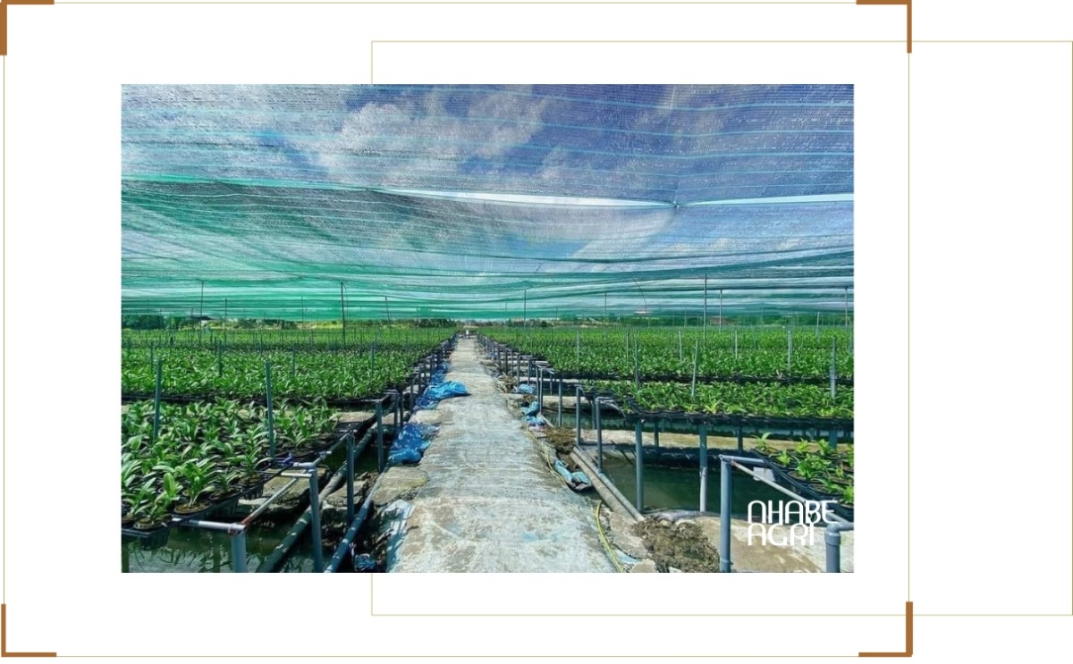 Công dụng khi sử dụng lưới che nắng Công dụng khi sử dụng lưới che nắng