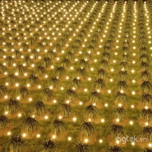 Hệ thống điện năng lượng mặt trời đèn led nông nghiệp