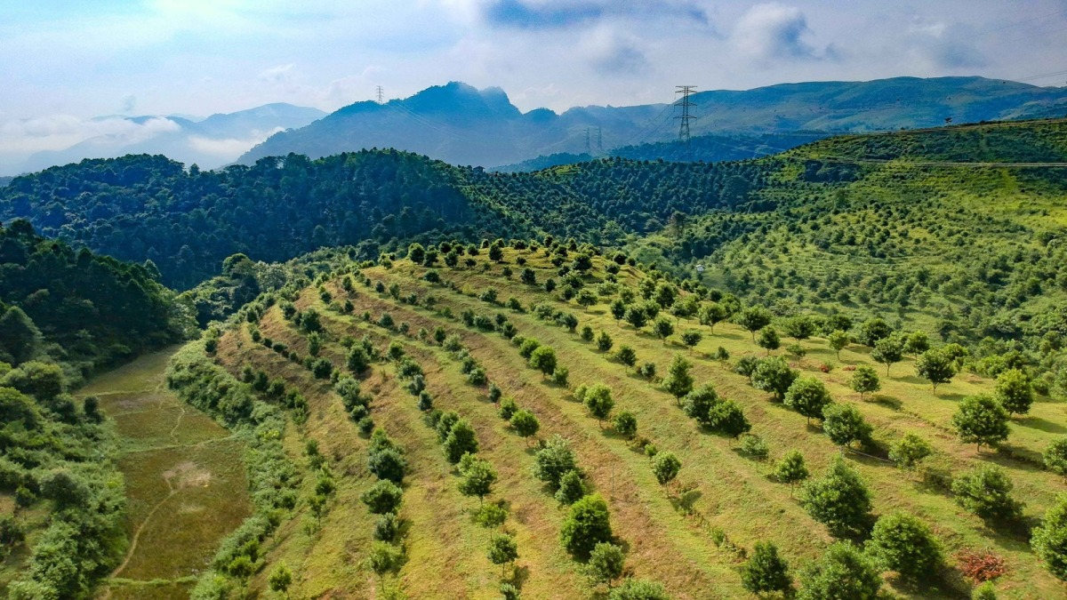 Địa chỉ mua tấm pin năng lượng mặt trời tại Điện Biên 3 Nhà Bè Agri cung cấp đa dạng dòng pin mặt trời