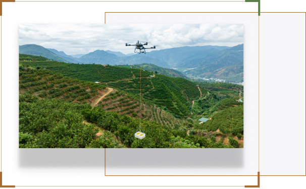 Dich vu nang ha van chuyen hang hoa nong san Nha Be Agri