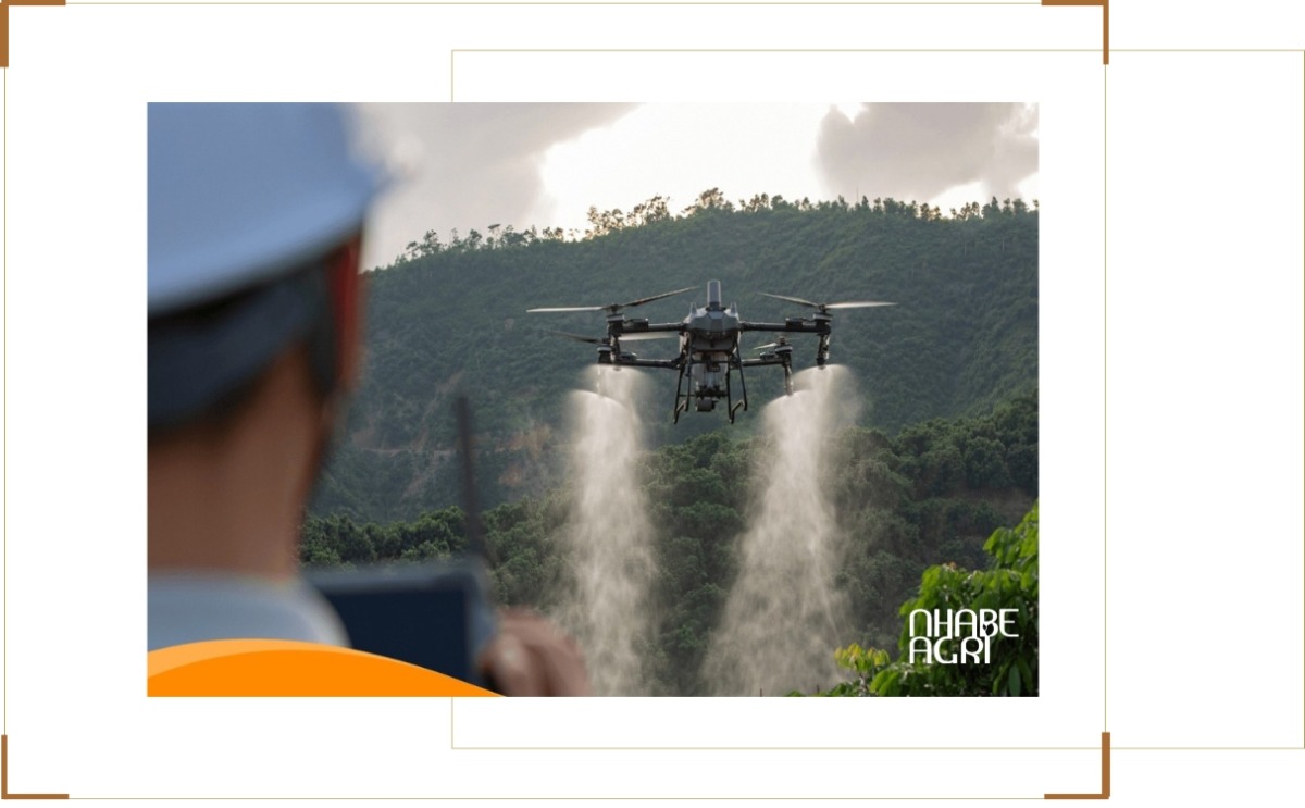 Dịch vụ phun thuốc trừ sâu bằng máy bay toàn quốc