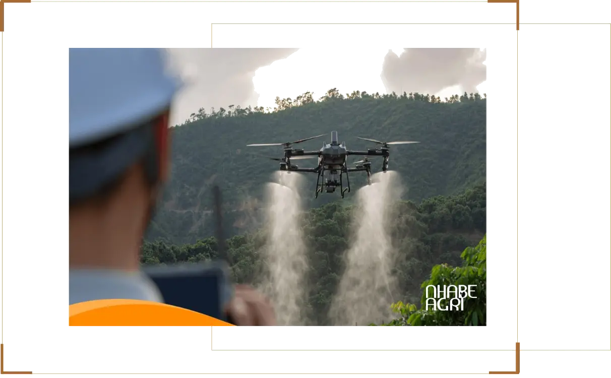 Dịch vụ phun thuốc trừ sâu bằng máy bay toàn quốc