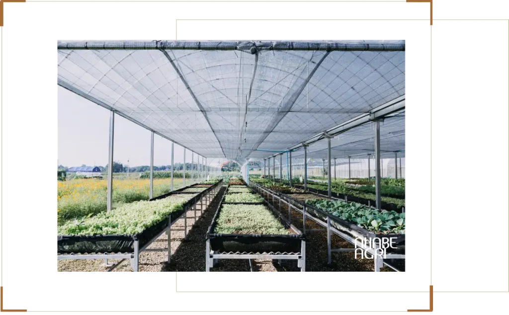 Giới thiệu chung về lưới chống nắng