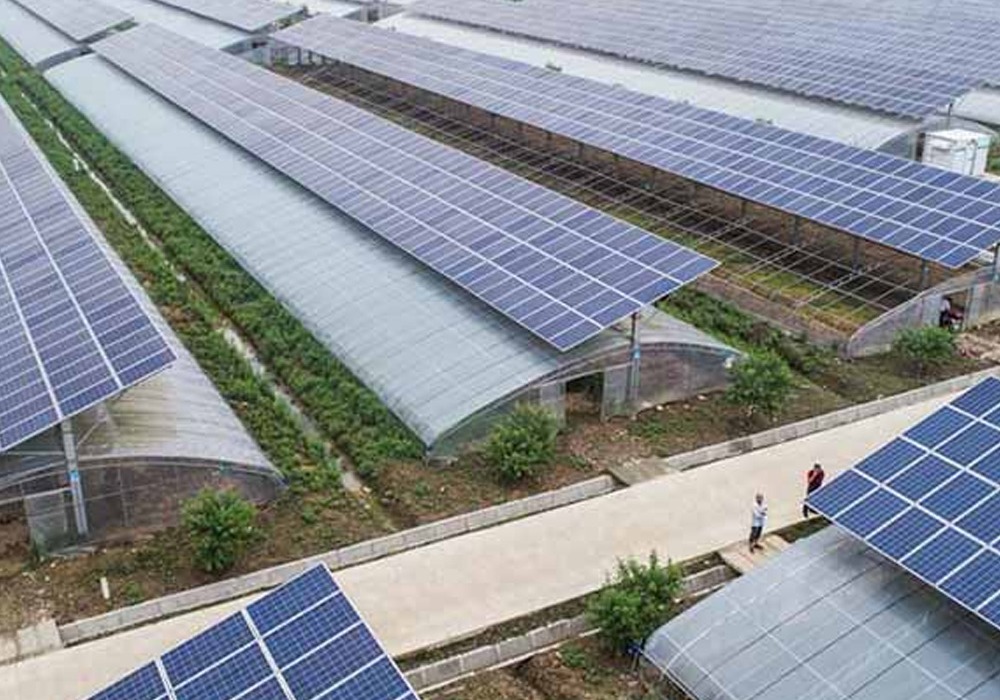 Hệ thống Điện năng lượng mặt trời cho nhà kính