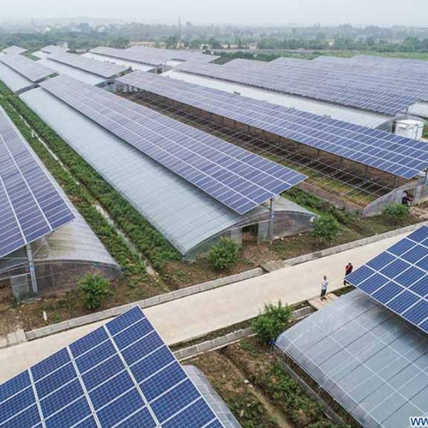 Hệ thống Điện năng lượng mặt trời cho nhà kính