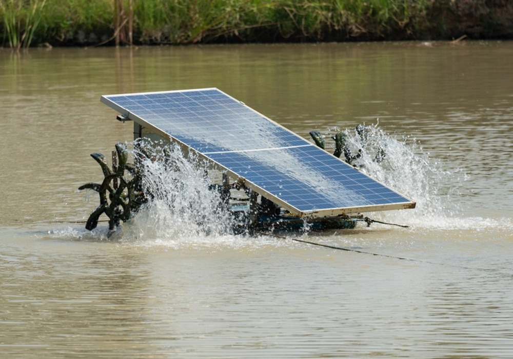 Hệ thống điện năng lượng mặt trời cho máy sục khí nuôi trồng thủy sản