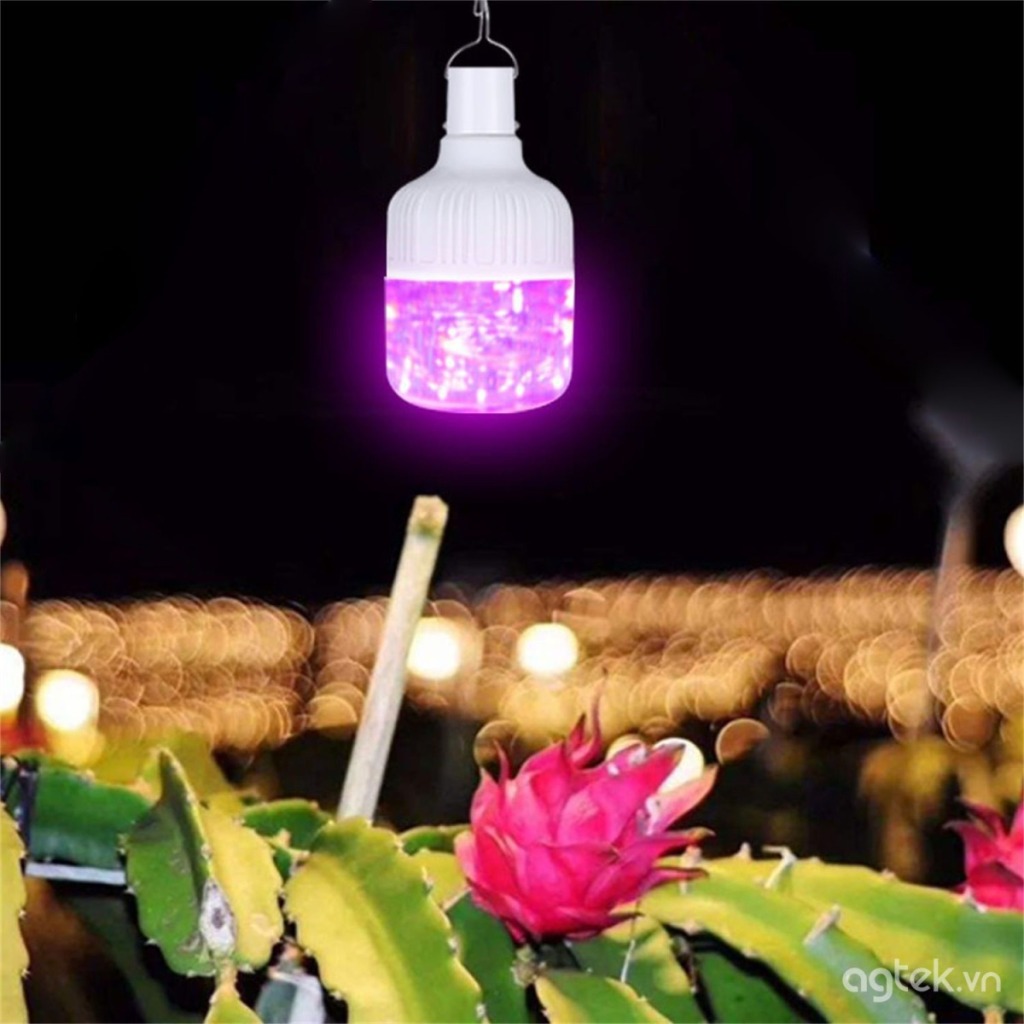 Hệ thống điện năng lượng mặt trời đèn led nông nghiệp 11 He-thong-dien-nang-luong-mat-troi-den-LED-nong-nghiep-trong-thanh-long