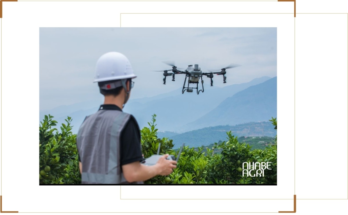 Quy trình dịch vụ phun thuốc trừ sâu bằng máy bay tại Nhà Bè Agri Quy trình dịch vụ phun thuốc trừ sâu bằng máy bay tại Nhà Bè Agri