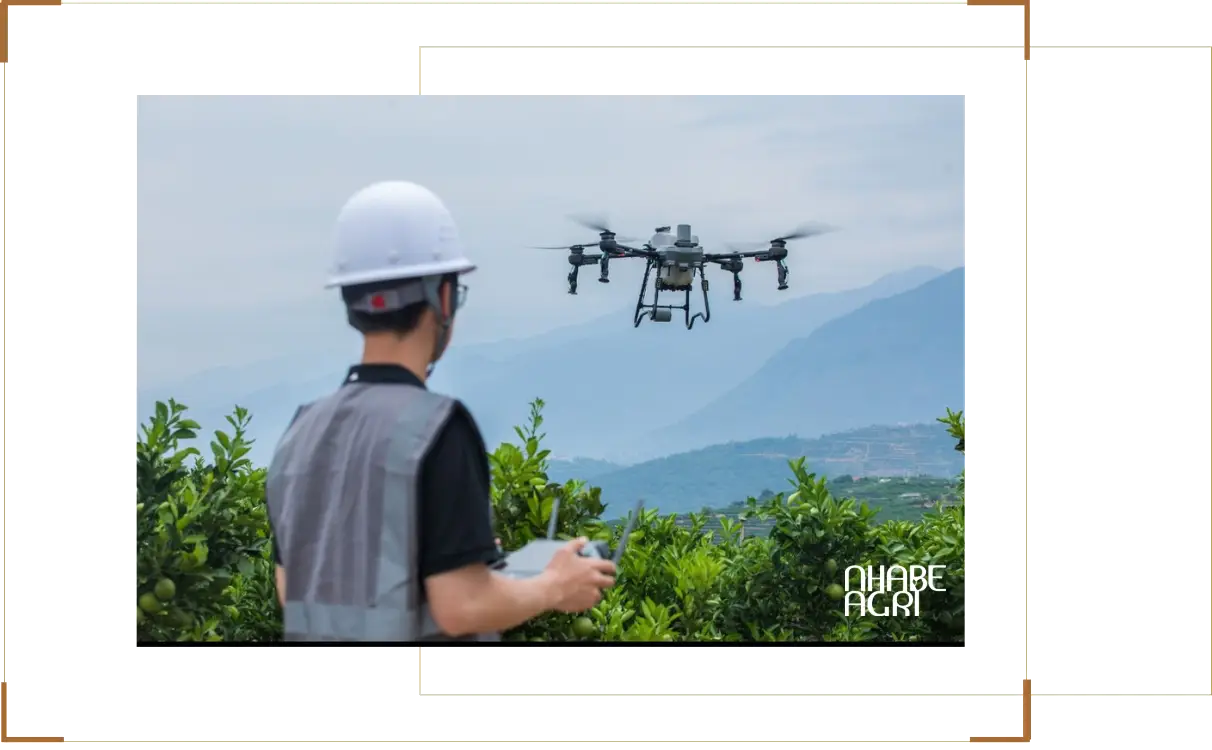 Quy trình dịch vụ phun thuốc trừ sâu bằng máy bay tại Nhà Bè Agri