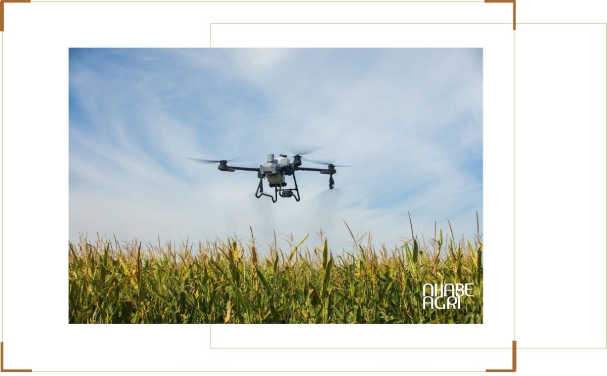 Quy trình thuê máy bay nông nghiệp tại Nhabeagri Dịch vụ cho thuê máy bay nông nghiệp toàn quốc