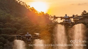 Thi truong may bay nong nghiep viet nam
