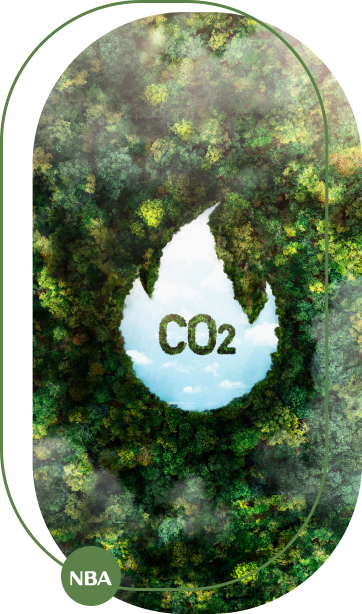 Tin chi carbon vertical Tin chi carbon vertical