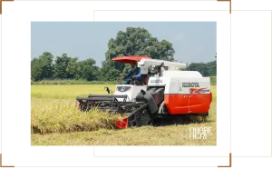 Tư Vấn Chọn Máy Gặt Lúa Phù Hợp Diện Tích Ruộng và Ngân Sách