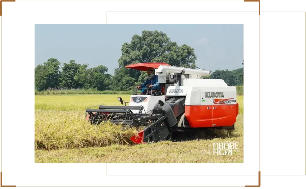 Tư Vấn Chọn Máy Gặt Lúa Phù Hợp Diện Tích Ruộng và Ngân Sách