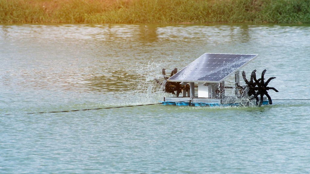 Hệ thống điện năng lượng mặt trời cho máy sục khí nuôi trồng thủy sản 3 Ứng điện mặt trời vào nuôi trồng thuỷ sản
