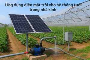 Ứng dụng điện mặt trời cho hệ thống tưới trong nhà kính