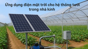 Ứng dụng điện mặt trời cho hệ thống tưới trong nhà kính
