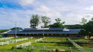 Ứng dụng điện mặt trời giúp nâng cao phúc lợi động vật trong chăn nuôi 2 Ứng dụng điện mặt trời giúp nâng cao phúc lợi động vật trong chăn nuôi