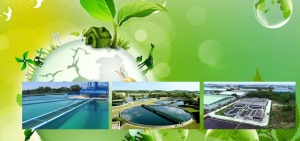 Ứng dụng năng lượng mặt trời trong xử lý chất thải chăn nuôi