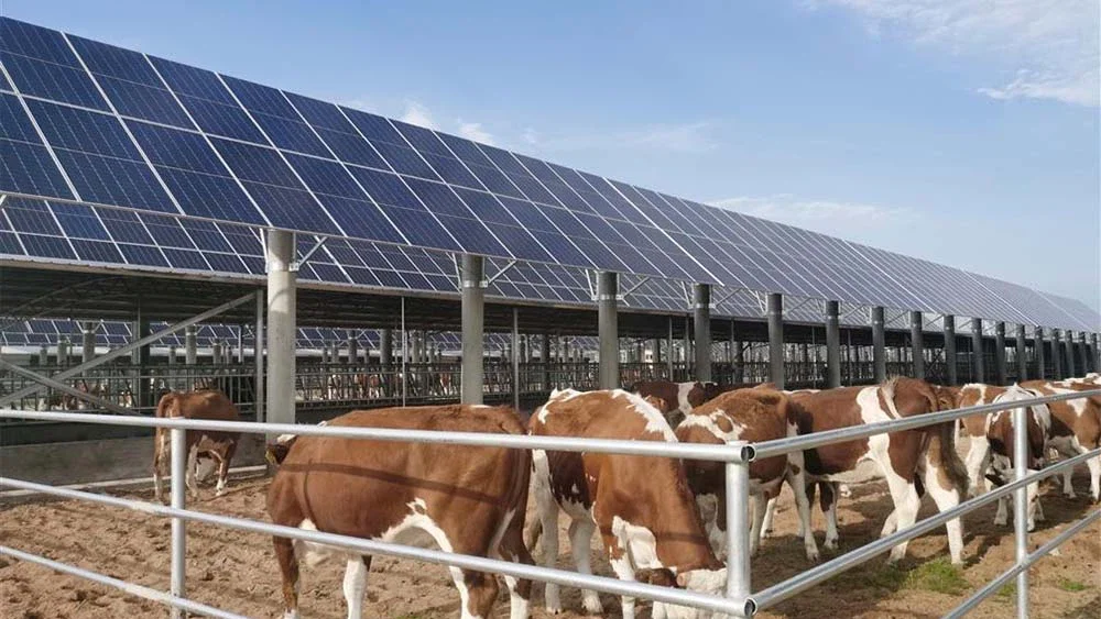 Xu hướng ứng dụng IoT và điện mặt trời trong quản lý trang trại chăn nuôi thông minh 8 Xu hướng ứng dụng IoT và điện mặt trời trong quản lý trang trại chăn nuôi thông minh