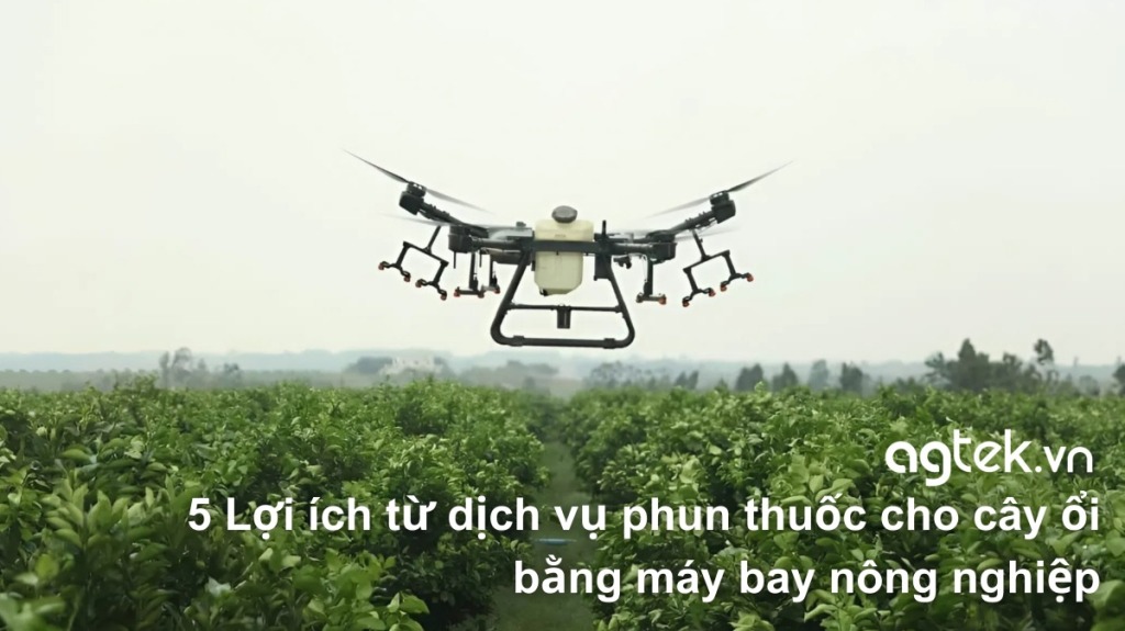 5 Lợi ích từ dịch vụ phun thuốc cho cây ổi bằng máy bay nông nghiệp 17 5 Lợi ích từ dịch vụ phun thuốc cho cây ổi bằng máy bay nông nghiệp