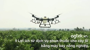 5 Lợi ích từ dịch vụ phun thuốc cho cây ổi bằng máy bay nông nghiệp