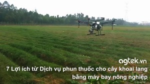 7 Lợi ích từ Dịch vụ phun thuốc cho cây khoai lang bằng máy bay nông nghiệp