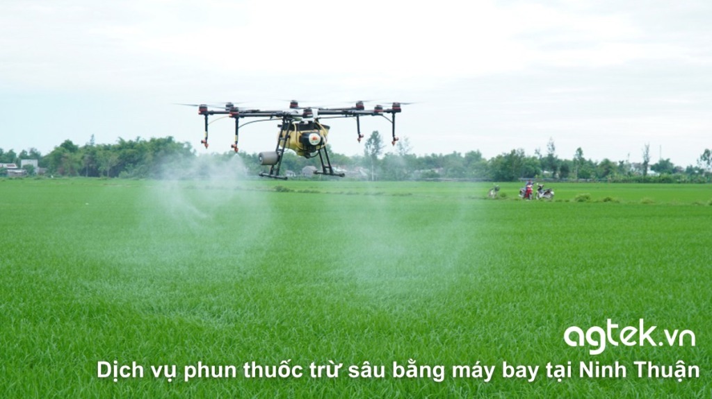 Dịch vụ phun thuốc trừ sâu bằng máy bay tại Ninh Thuận 10 Dịch vụ phun thuốc trừ sâu bằng máy bay tại Ninh Thuận