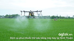 Dịch vụ phun thuốc trừ sâu bằng máy bay tại Ninh Thuận