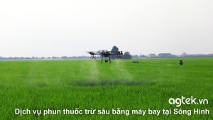 Dịch vụ phun thuốc trừ sâu bằng máy bay tại Sông Hinh